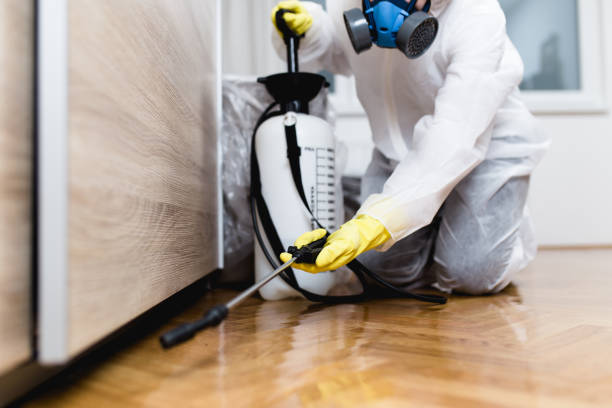 Best Pest Control Near Me in Martindale, TX