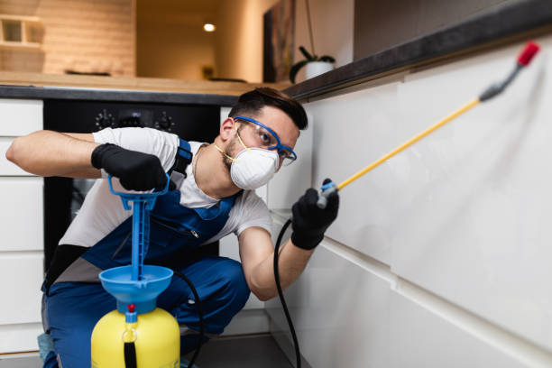 Best Residential Pest Control  in Martindale, TX