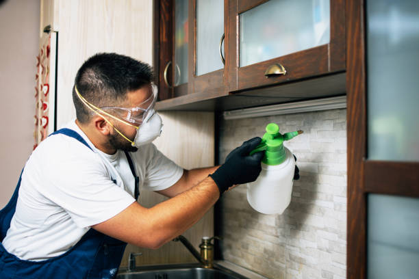 Trusted Martindale, TX Pest Control Experts