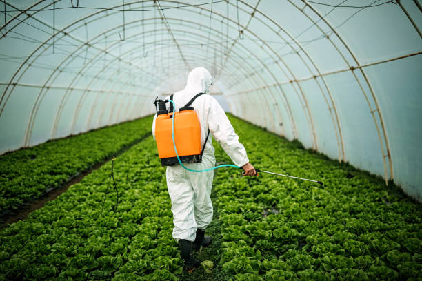 Best Affordable Pest Control Services  in Martindale, TX