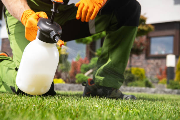 Best Bird Control  in Martindale, TX