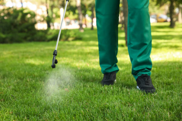 Best Insect Control  in Martindale, TX