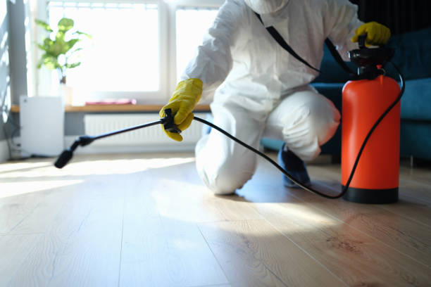 Professional Pest Control in Martindale, TX