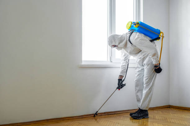 Best Pest Inspection Near Me  in Martindale, TX