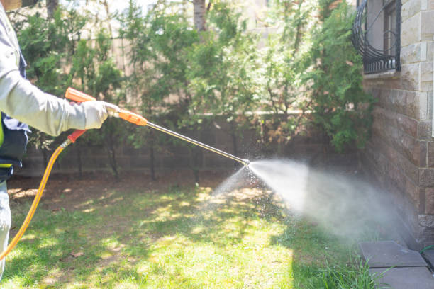 Best Local Pest Control Services  in Martindale, TX