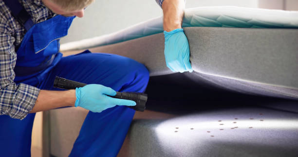 Best Pest Prevention Services  in Martindale, TX