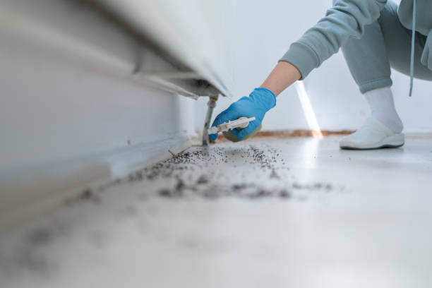 Best Mosquito Control Services  in Martindale, TX